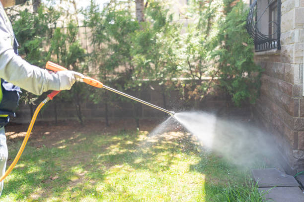 Best Spider Control Near Me  in Clinton, LA