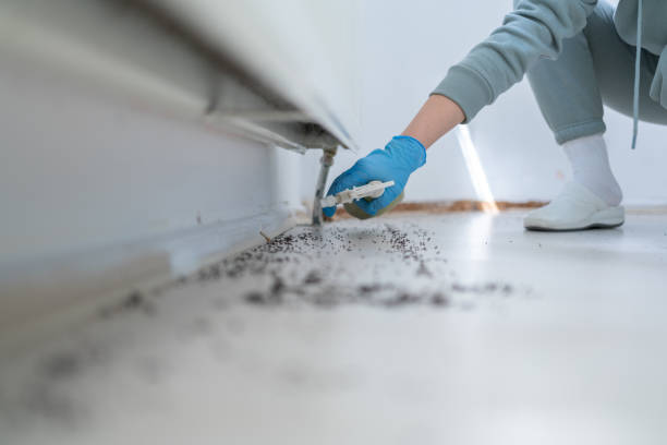 Wildlife Control Services in Clinton, LA